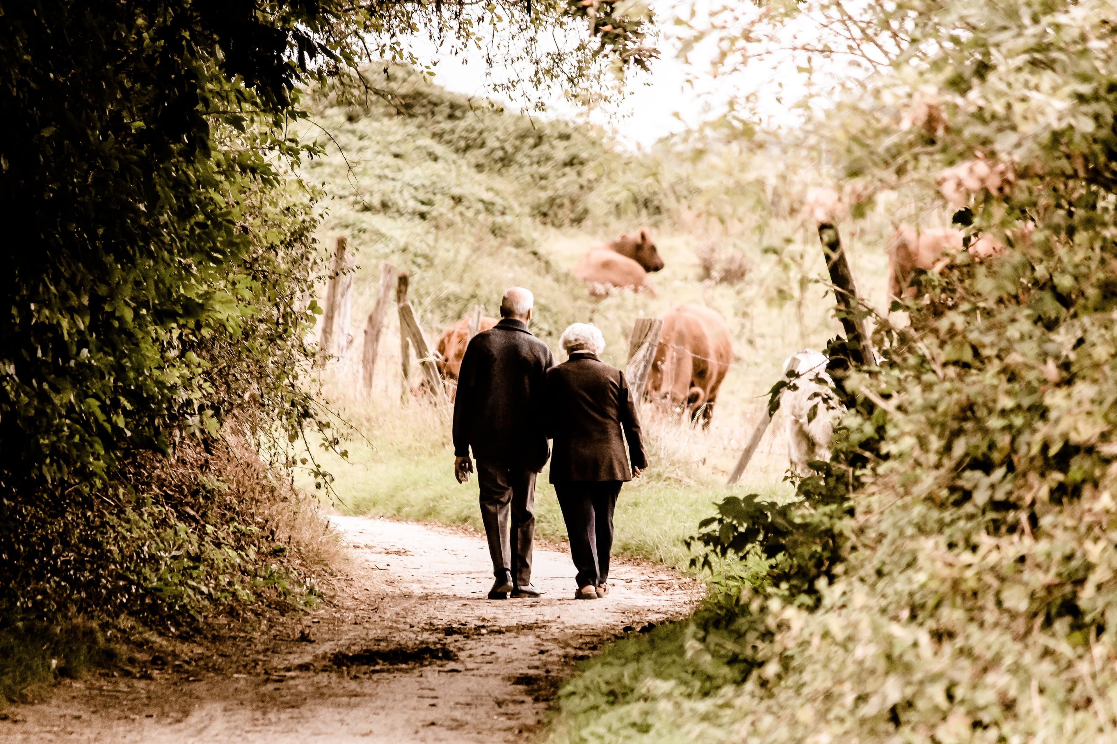 Senior couple walking outdoors
